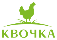 logo kv